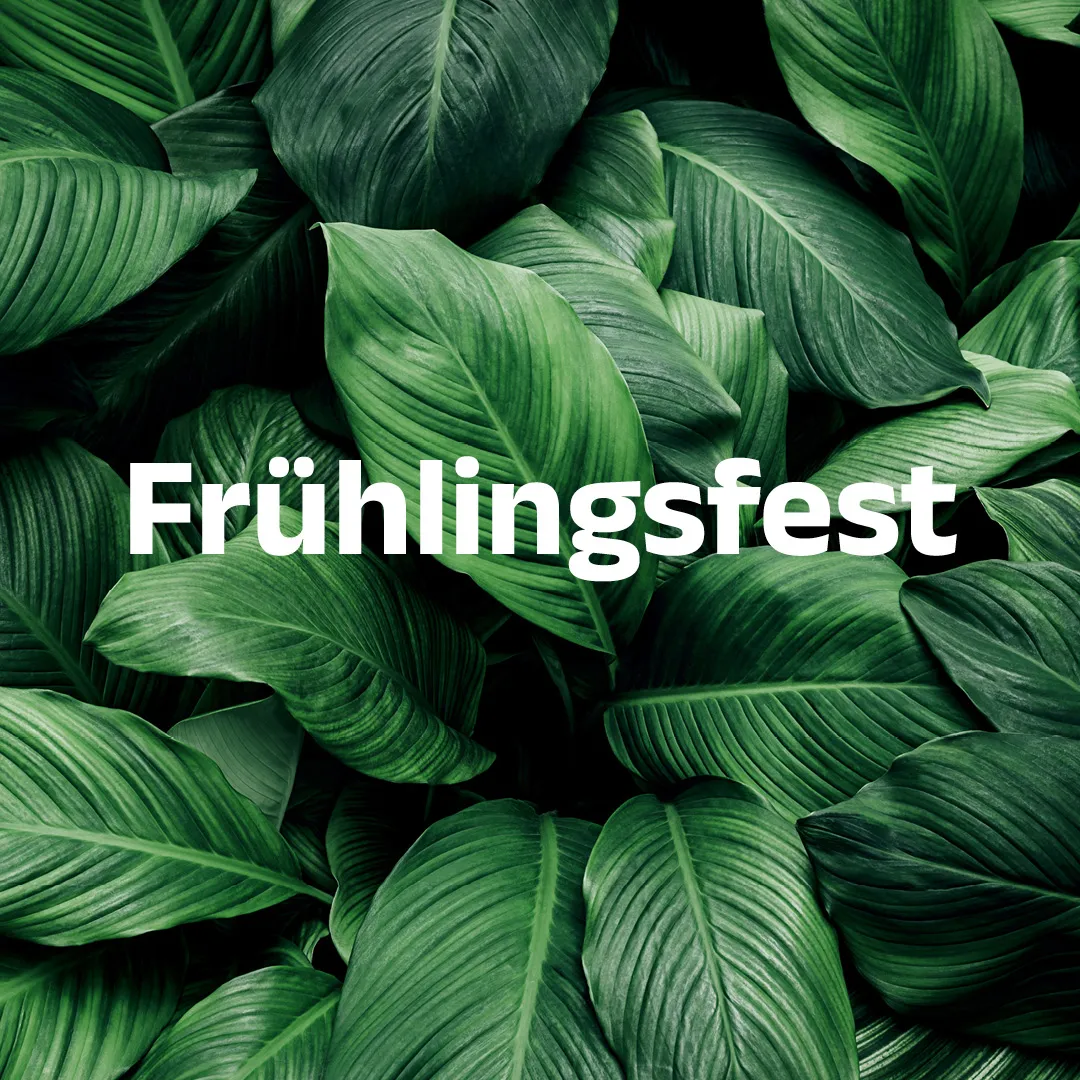 Das Bild des Blogbeitrags