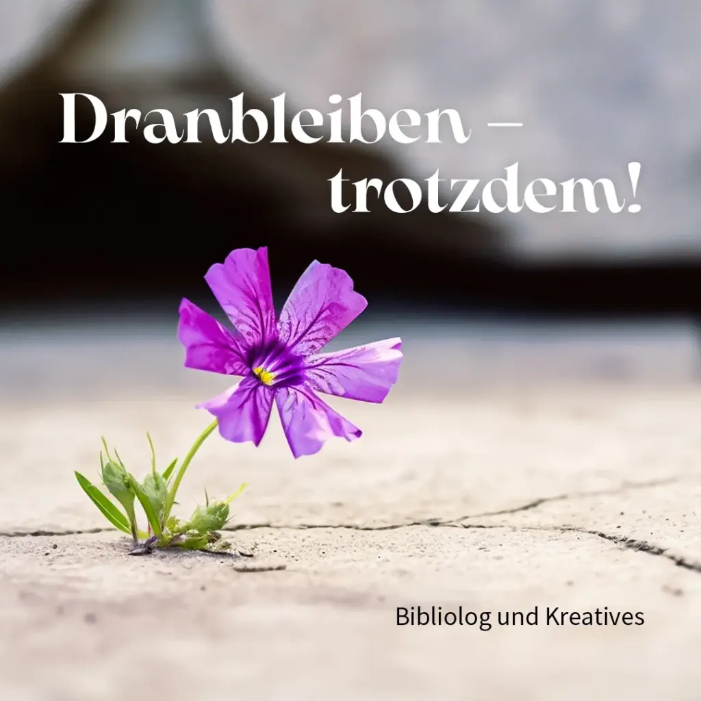 Der andere Samstag für Frauen